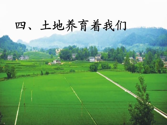 【北師大版品社四下第四單元 土地養育著我們ppt課件2（B2.1）】